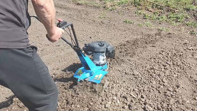 08.04.2023г.сажаем лук. смотреть онлайн