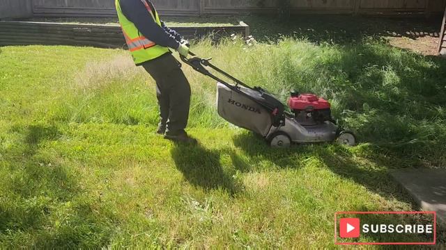 I TRANSFORMED This NEGLECTED Yard For Free, #lawnmowing #lawn #lawncare #grasscutting #mowing
