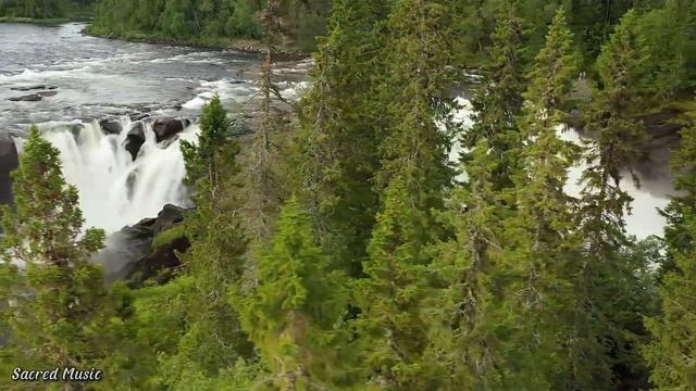 Мелодии природы ? Успокаивающая музыка помогает расслабить ум и снять стресс#5 смотреть онлайн