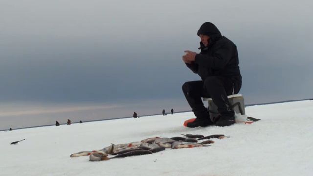 Ловись рыбка, больщая и маленькая..VOB смотреть онлайн