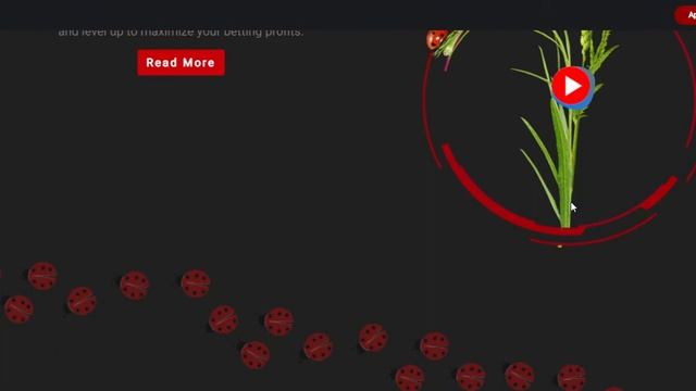 Beet | Vue | Bootstrap | Javascript | Front-End смотреть онлайн