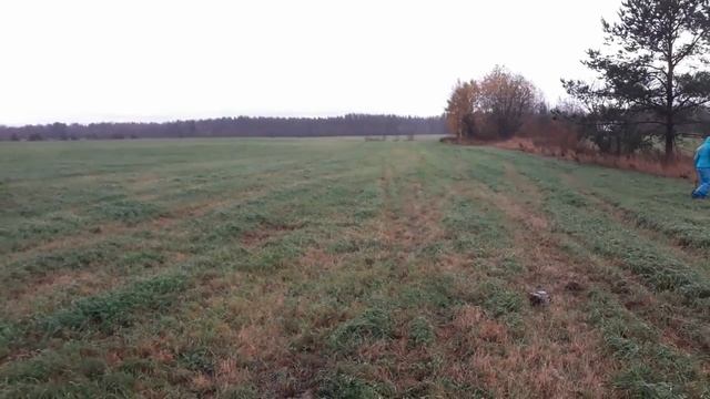 БАБУШКИНО НАСЛЕДСТВО . смотреть онлайн