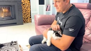 ШЕРЛОК ОБМАНУЛ БАТЮ. БРОС ШОУ ПЕТ