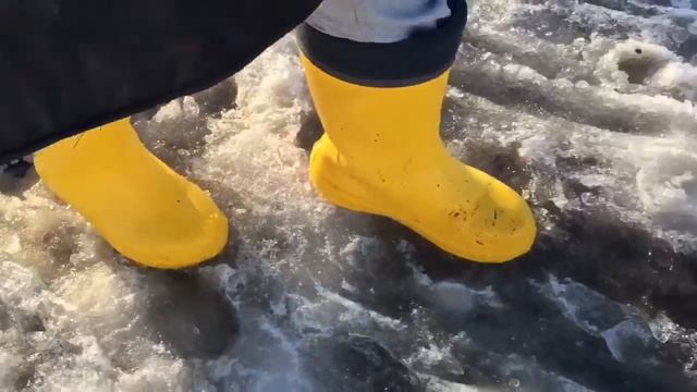 Ульяновск. Прогулка в Nordman Silla. смотреть онлайн