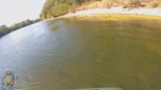 Рыбалка на сома. Трофейная рыбалка. Ловля сома с берега. смотреть онлайн