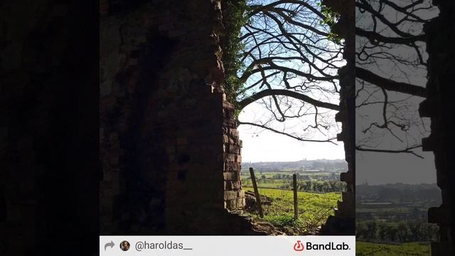 Elemental surprise смотреть онлайн