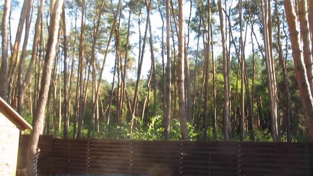 Чудо-покрытие для бассейна . Мастерская Сеньора Арсения .