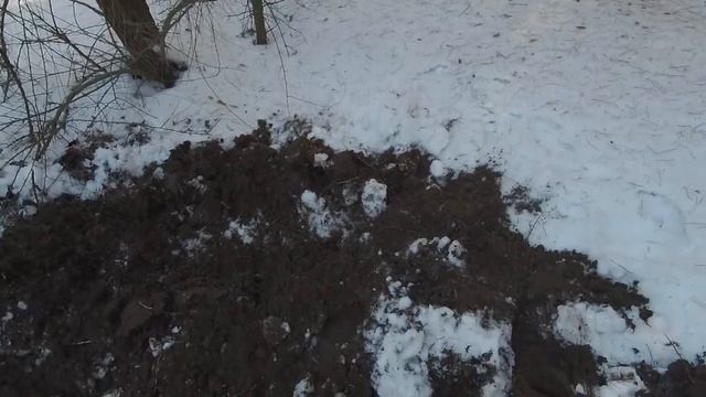 Фортуна м 3 КОП МОНЕТ ИЗ ПОД СНЕГА №130 смотреть онлайн