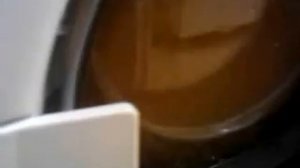 bosch wmv 1610  synthetic spin