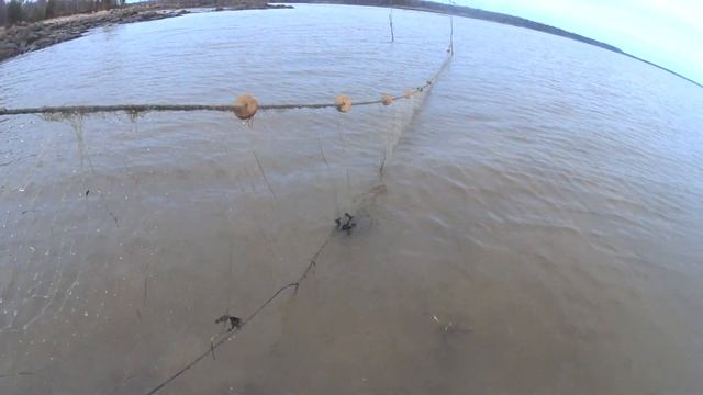 Арктика!Как споймать рыбу если не клюёт.10-ч. смотреть онлайн