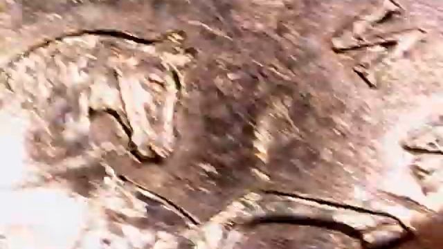 вся линейка разновидностей 50 коп 2008 СПМД и ММД смотреть онлайн