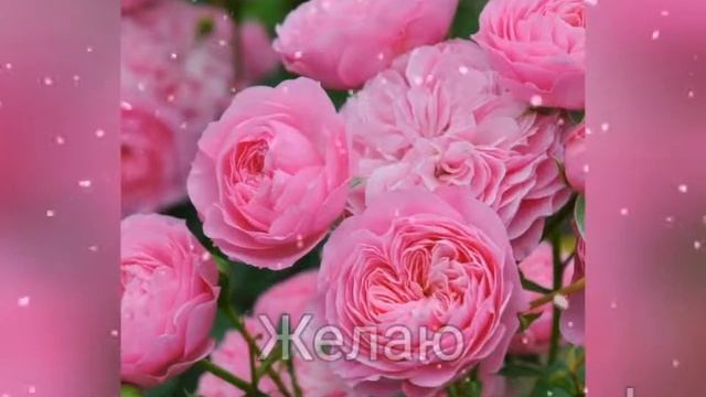 Благодарность своим друзьям смотреть онлайн