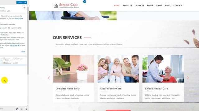 Add Custom CSS Code In WordPress | WordPress Tutorial | WordPress Tips смотреть онлайн