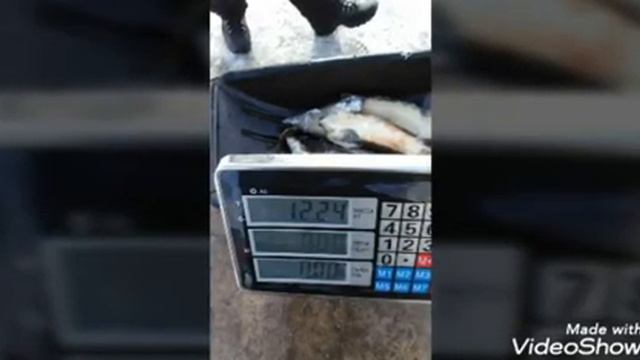 15.02. фото отчёт рыбалки форели и осетра в кокино смотреть онлайн