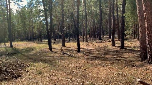 Природная викканская медитация для обретения спокойствия и сил ?| moonsistaari смотреть онлайн