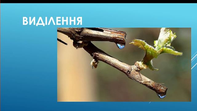Основні властивості живого. Демонстрация PowerPoint смотреть онлайн