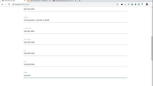 mare vet records vue.js and firebase app смотреть онлайн