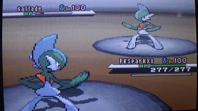 Pokemon WiFi Battle #257 vs SeaSlug [T-Flare League RU] Back in The Saddle Again смотреть онлайн