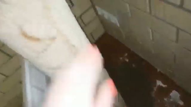 как сделать Когтеточку для кошек своими руками и почти бесплатно. советы для кошек и их владельцев. смотреть онлайн