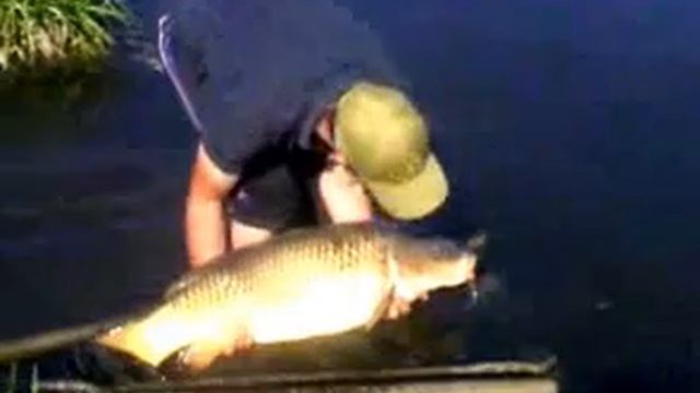 Биг Фиш. Карп 13.5 кг. Водоем Богородицкое (Кусты). Орловская область 2012 год. смотреть онлайн