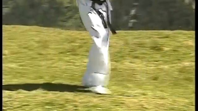 Taekwondo - Techniques de coups de pieds смотреть онлайн