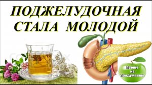 Сильные травы для поджелудочной!  Нормализуют сахар, устраняют Спазмы, Отечность, Омолаживают ткани