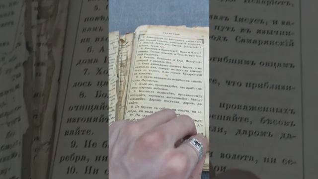 книга 1900г Новый завет иисуса Христа смотреть онлайн