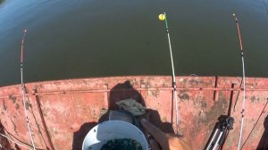 В ПОИСКАХ САЗАНА  / РЫБАЛКА С ЛОДКИ НА ДОНУ