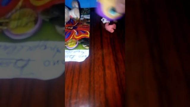 Обзор на мой дом для пэтов смотреть онлайн