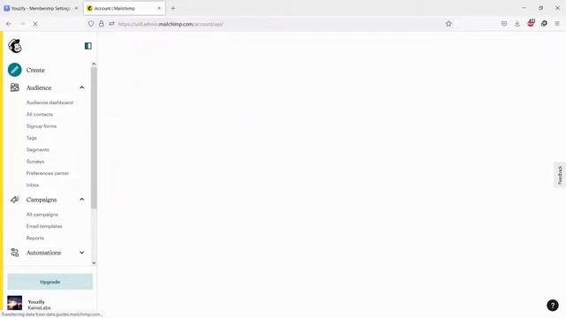 How to Connect WordPress Registration Form with Mailchimp смотреть онлайн