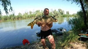 Трофейная рыбалка на раскатах... Сазан, карп. Лучший отдых. Красивая природа.