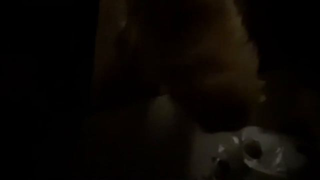 /ВЛОГ/ 🐶один день с моей собакой 🐶 смотреть онлайн