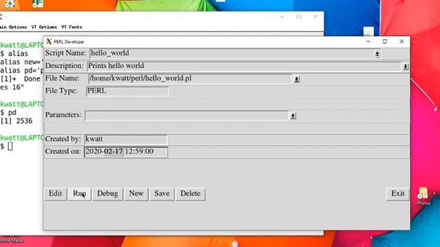 PERL/Python Developer Demo смотреть онлайн