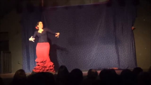 Sonia Fuente Alba Flamenco con Bata de Cola Roma espectaculo de danzas Gitanas 2013 смотреть онлайн
