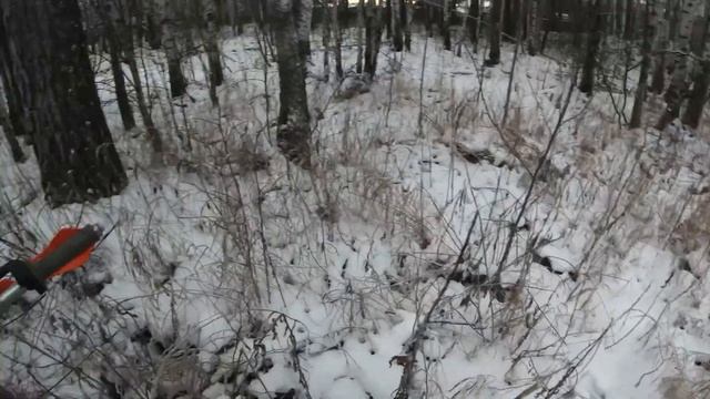 Зима не приговор! Kayo T4