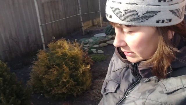 ОБРІЗКА ГОРТЕНЗІЙ, лаванди, лапчатки, вівсяниці. ПРИБИРАННЯ В КЛУМБАХ. смотреть онлайн