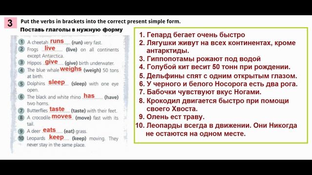 Английский язык 5 класс Рабочая тетрадь Страница.41 смотреть онлайн