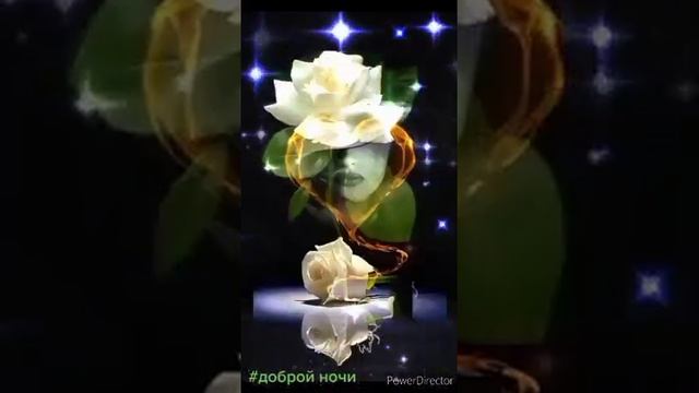 ПАДАРИ МНЕ ЭТУ НОЧЬ . смотреть онлайн