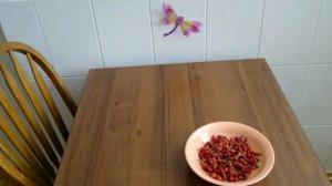 Как заваривать плоды шиповника//Отвар шиповника//Сбор и сушка шиповника// How to boil a dogrose.