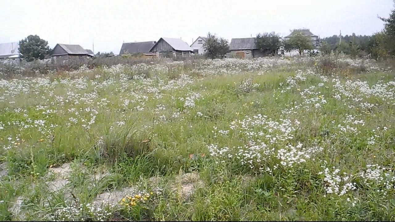 Мелкозаглубленный ленточный фундамент ч.1 смотреть онлайн