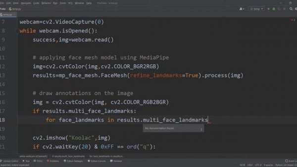 Python Face Detection and Face Mesh (python OpenCV & MediaPipe package)