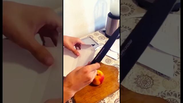 Стильный и острый нож Samura Shadow универсальный из нержавеющей стали #samura #samurashadow #кухня смотреть онлайн