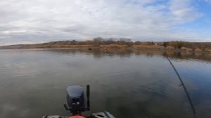 Рыбалка на Дону. Хутор Пятиизбянский в Калачёвском районе Волгоградской области. Судак, окунь