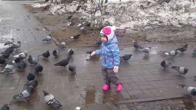 Алиса кормит голубей Детский канал Little baby Алиса Голуби нападают смотреть онлайн