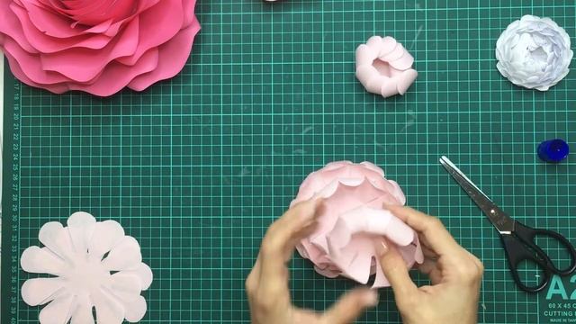 В Китае пион считался символ богатства, знатности и благополучия. смотреть онлайн