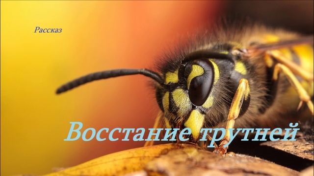 Восстание трутней.. (рассказ)