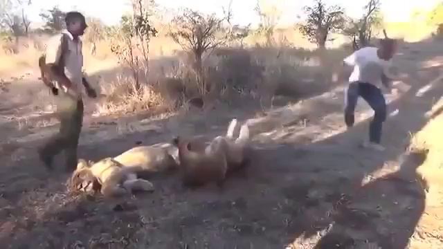 приколы 2015 смотреть онлайн