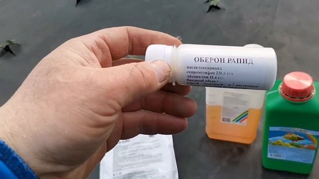 /Первые обработки клубники весной!!! /С чего начинать! /