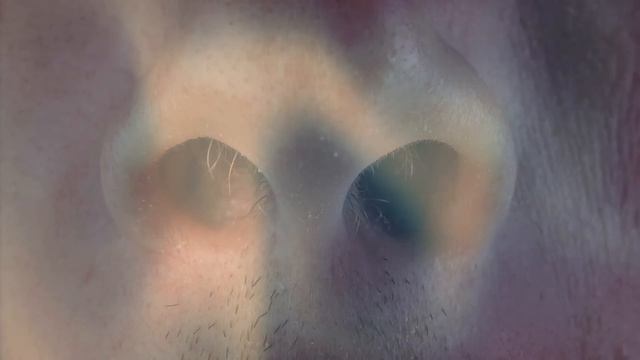 ACTIVATE Your BRAIN POWER for MANIFESTATION Success! Law Of Attraction Sensory Activation Meditatio смотреть онлайн