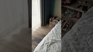 Отель А В Сокол Гагры обзор номера люкс